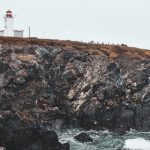 860开奖前后出号规律深度解析与预测 h00857b