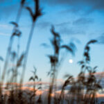 NBA篮球巨星巅峰对决直播,热血激战一触即发 sl6ow71a